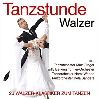 Tanzstunde Walzer