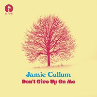 Jamie Cullum – Don't Give Up On Me