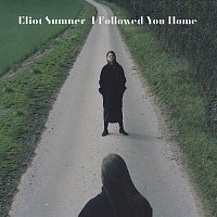 Eliot Sumner – I Followed You Home
