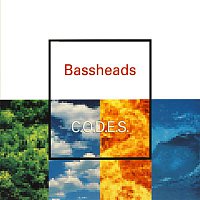 Přední strana obalu CD C.O.D.E.S.