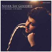 A.R. Rahman – Never Say Goodbye (From "Dil Bechara")