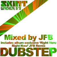 JFB – Skint Presents Dubstep (Mixed by JFB)