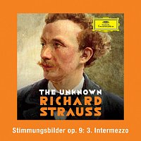 Strauss: Stimmungsbilder, Op. 9: No. 3 Intermezzo