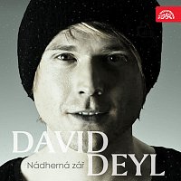 David Deyl – Nádherná zář MP3