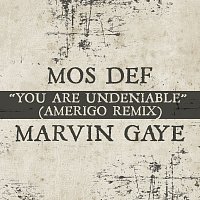 Mos Def, Marvin Gaye – You Are Undeniable [Amerigo Remix]