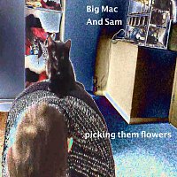Big Mac, Şam – Picking Them Flowers