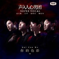 Super  Vocal – Ni De Se Cai
