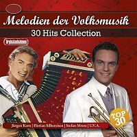 Various  Artists – 30 Hits Collection - Melodien der Volksmusik