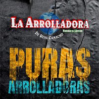 La Arrolladora Banda El Limón De René Camacho – Puras Arrolladoras