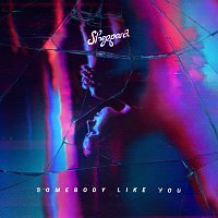 Sheppard – Somebody Like You