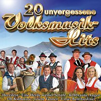 Přední strana obalu CD 20 unvergessliche Volksmusik-Hits