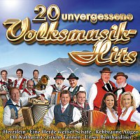 Různí interpreti – 20 unvergessliche Volksmusik-Hits