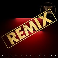 Duke Dumont, Clementine Douglas, Paul Woolford – Ain’t Giving Up [Paul Woolford’s Special Request Remix]