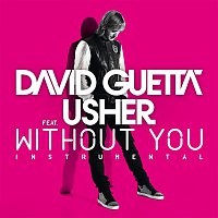 David Guetta – Without You (feat.Usher) [Instrumental Version]