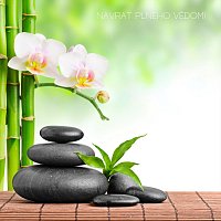 Přední strana obalu CD Návrat plného vědomí