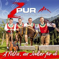 ZPUR - Die Zillertaler Musikanten – A Polka, an Jodler für di