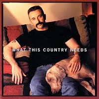 Aaron Tippin – What This Country Needs