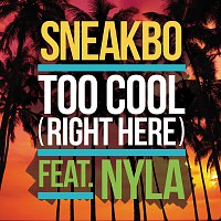 Sneakbo, Nyla – Too Cool (Right Here)