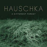 Hauschka – A Different Forest