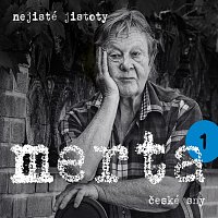 Vladimír Merta – České sny. Nejisté jistoty 1