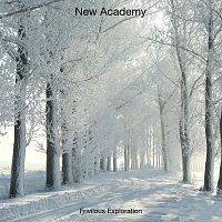 Frivilous Exploration – New Academy