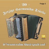 D' Neuneralm Musi – 20 Fetzige Harmonika Stücke - Folge 3