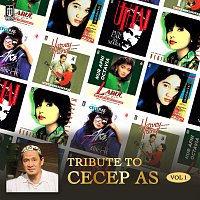 Různí interpreti – Tribute To Cecep AS Vol. I