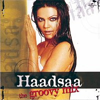 Různí interpreti – Haadsaa The Groovy Mix