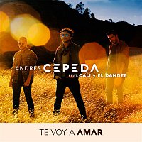 Andrés Cepeda, Cali Y El Dandee – Te Voy a Amar