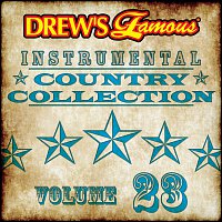 Přední strana obalu CD Drew's Famous Instrumental Country Collection [Vol. 23]
