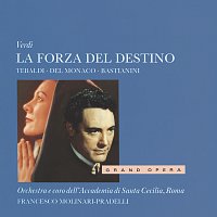 Přední strana obalu CD Verdi: La Forza del Destino [3 CDs]