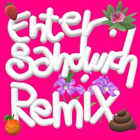 Pop X – ENTER SANDWICH REMIX
