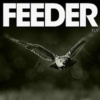 Feeder – Fly
