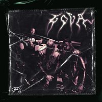 YPN – Gova