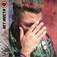 Jacques Anthony – Net Mesta