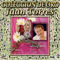 Přední strana obalu CD Colección De Oro: Organo Y Mariachi, Vol. 2