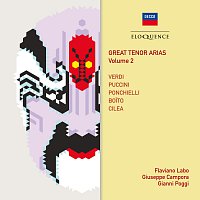 Great Tenor Arias [Vol. 2]