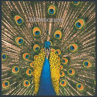The Bluetones – Expecting To Fly