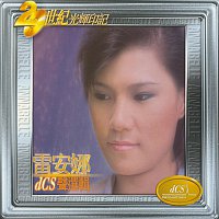 Přední strana obalu CD 20 Shi Ji Guang Hui Yin Ji