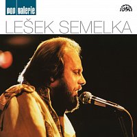 Lešek Semelka – Pop galerie