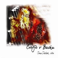 Irena Zdolšek – Cvetje v Bachu