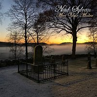 Přední strana obalu CD Meet Your Maker