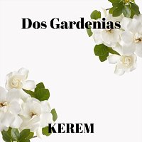 Dos Gardenias (feat. Diego El Cigala)