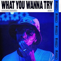 Masego – What You Wanna Try [Kooldrink (Amapiano) Remix]