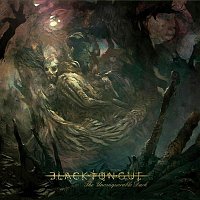 Přední strana obalu CD The Unconquerable Dark