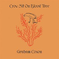 Graham Coxon – Crow Sit On Blood Tree