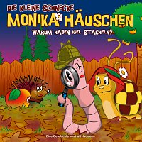 Die kleine Schnecke Monika Hauschen – 33: Warum haben Igel Stacheln?