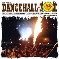 Various  Artists – Dancehall 101 Vol. 5