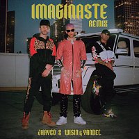 Jhayco, Wisin & Yandel – Imaginaste [Remix]