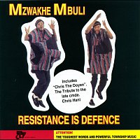 Mzwakhe Mbuli – Resistance Is Defence